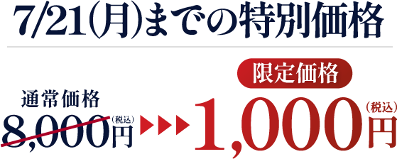 期間限定の特別価格